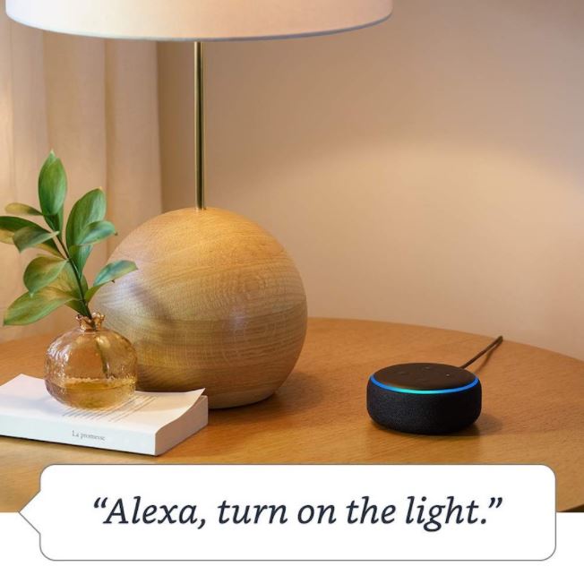 Alexa Turn On The Light